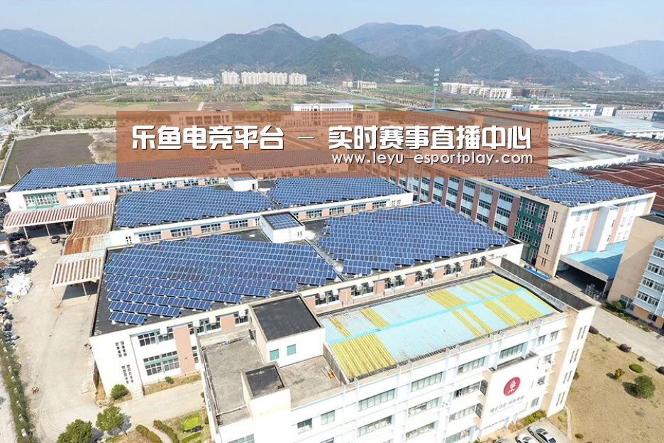 案例展示四