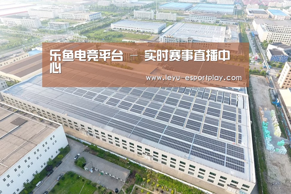案例展示二