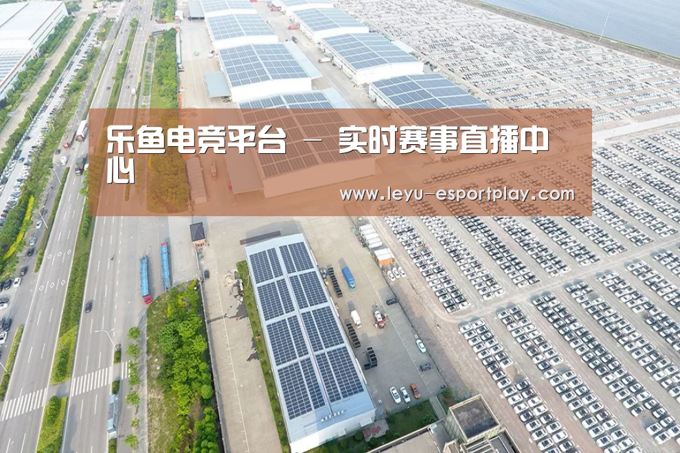 案例展示一