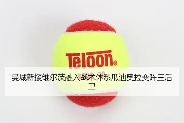 曼城新援维尔茨融入战术体系瓜迪奥拉变阵三后卫