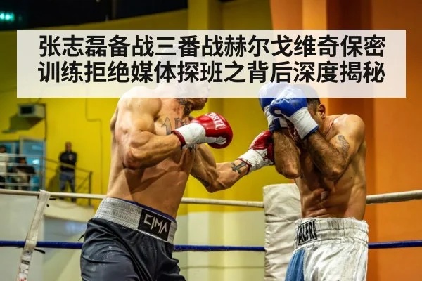 张志磊备战三番战赫尔戈维奇保密训练拒绝媒体探班之背后深度揭秘