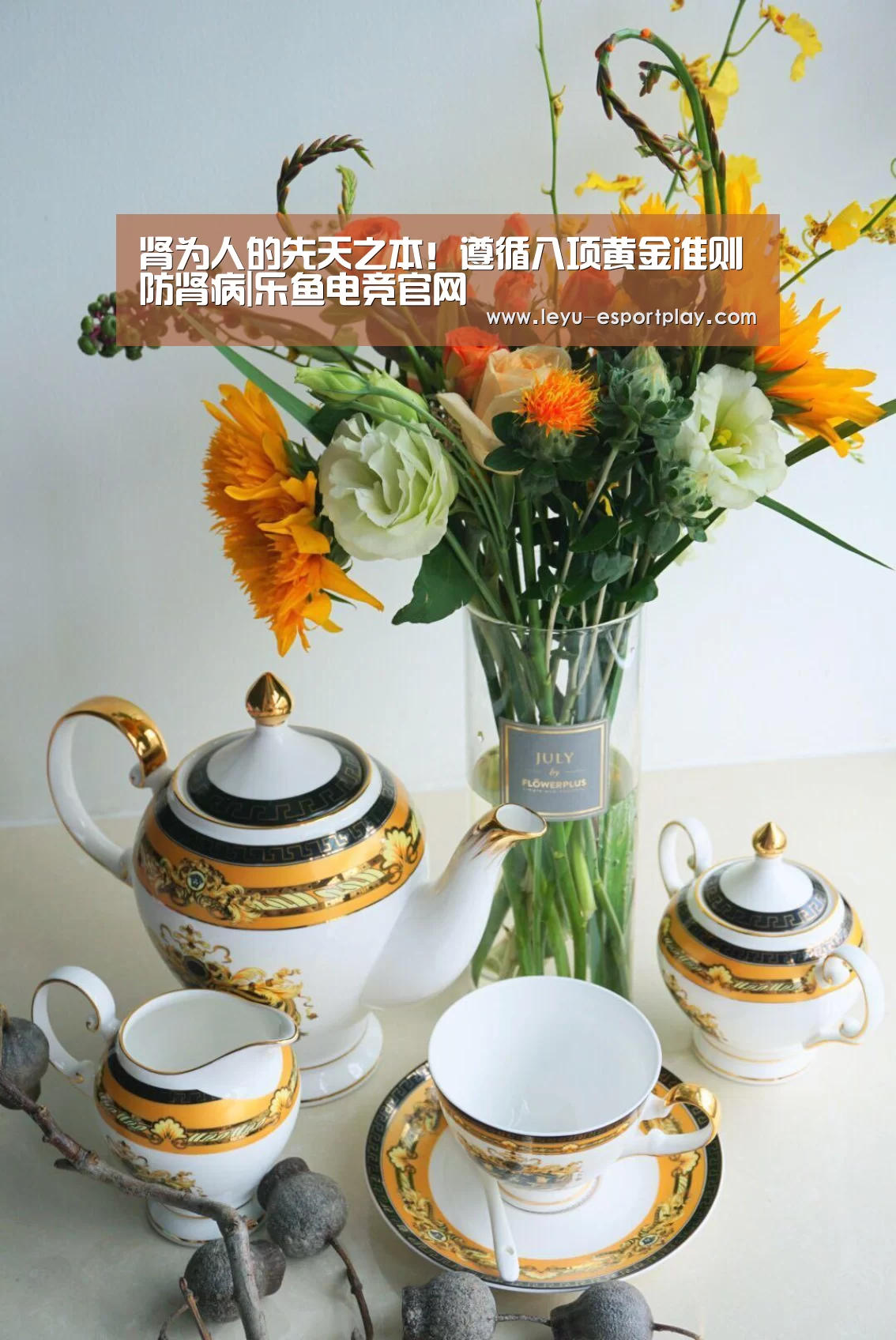 肾为人的先天之本!遵循八项黄金准则防肾病|乐鱼电竞官网(图1) 乐鱼电竞