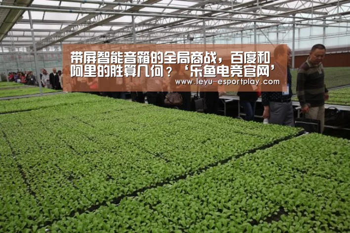 带屏智能音箱的全局商战,百度和阿里的胜算几何?‘乐鱼电竞官网’(图3) 乐鱼体育