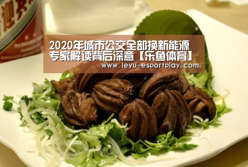 2020年城市公交全部换新能源 专家解